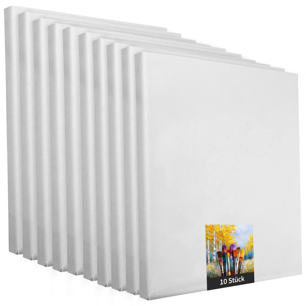Set 10 Tele 30x50 cm Telaio a Cuneo Artistico - Pronte per Acrilico