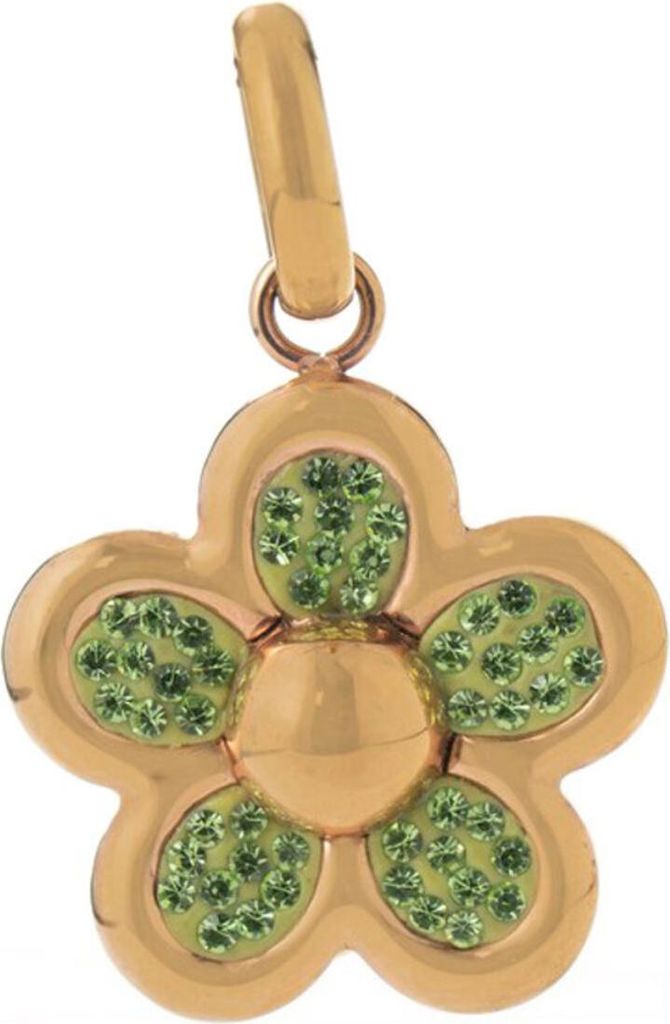 Damenanhänger Folli Follie 3P13T008RE (2 cm)