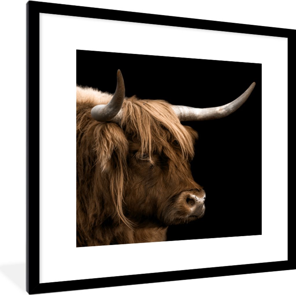 MuchoWow Gerahmtes Poster Schottischer Highlander - Tiere - Kuh 40x40 cm - Poster mit Schwarzem Bilderrahmen Wandposter Rahmen Foto Bilder - Post...