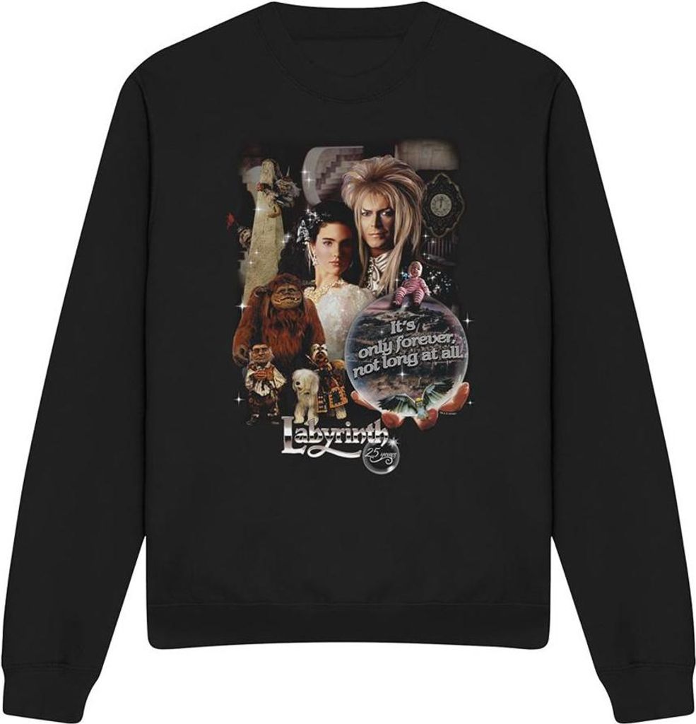 Labyrinth - "25 Years Of Magic" Sweatshirt für Herren/Damen Uni TV27951 (XL) (Schwarz)