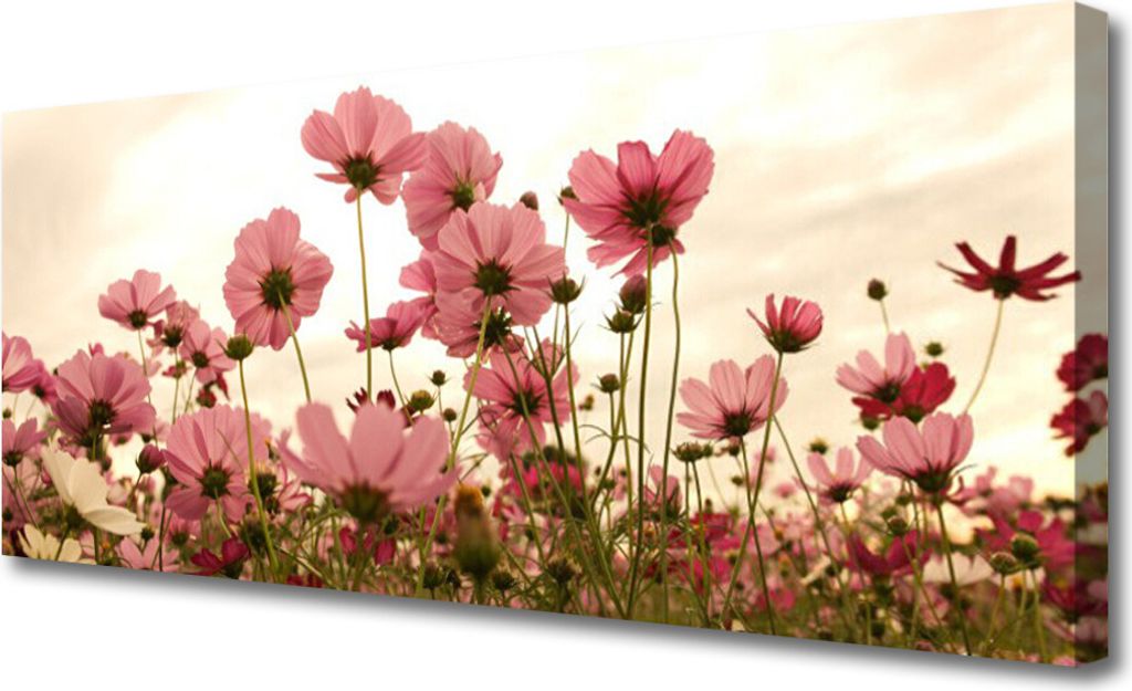 Tulup Leinwand-Bilder 125x50 Wandbild Canvas Kunstdruck Blumen Pflanzen