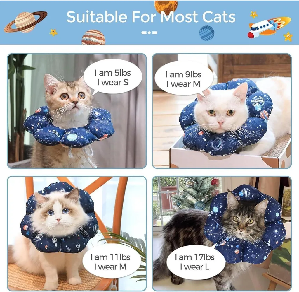 Petit collier chat ultra doux et ajustable - Confort S 14-22,8 cm