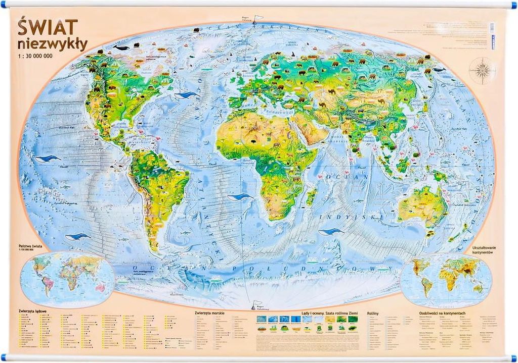 Außergewöhnliche Welt 1:30.000.000. Physische (Landschafts-)Wandkarte. Demart