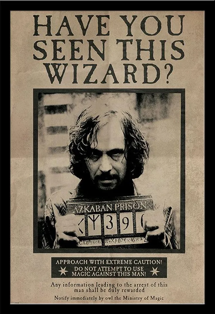 Poster Harry Potter Wanted Sirius Black avec Cadre Shinsuke Maxi MDF Noir
