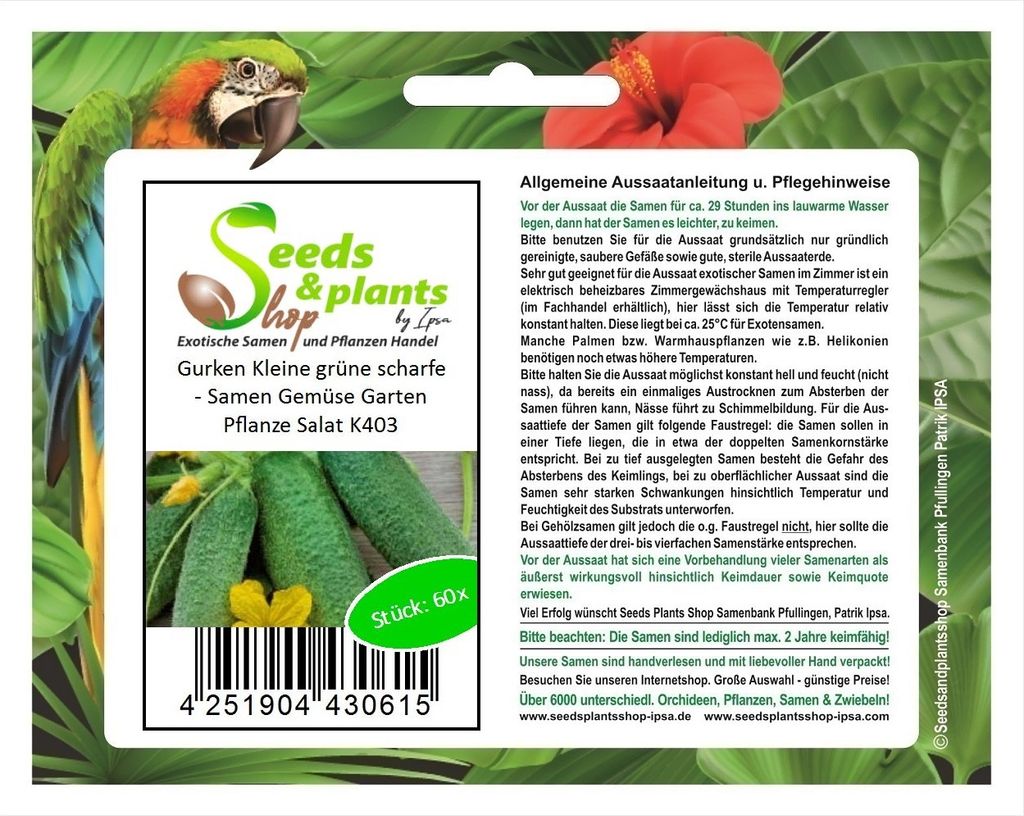60x Gurken Kleine grüne scharfe Gemüse Garten Pflanzen - Samen K403