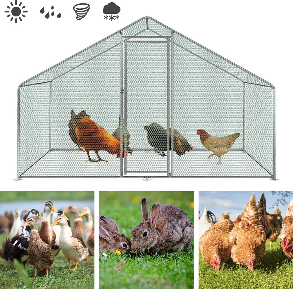 Pollaio 3x2x2m recinto per polli ruspanti XL con serratura Immagine del prodotto 