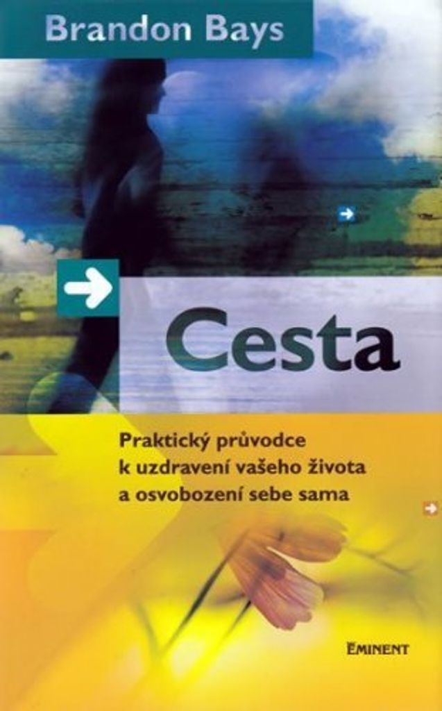 Cesta - Praktický průvodce k uzdravení vašeho života a osvobození sebe sama (Bays Brandon)