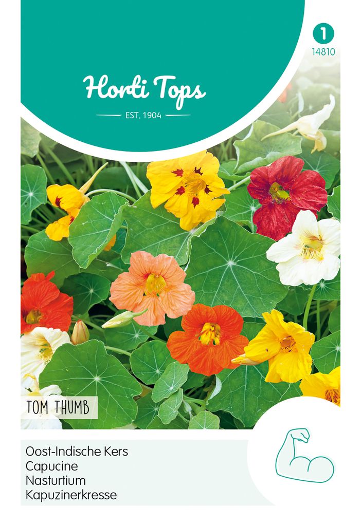Kapuzinerkresse Tom Thumb Niedrige Mischung | Kapuzinerkressesamen von Hortitops