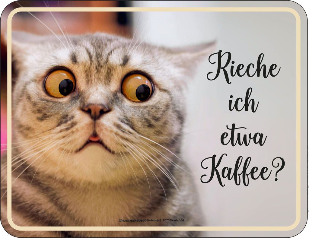 Chat - Panneaux Fun - Je sens le café ? Image du produit 