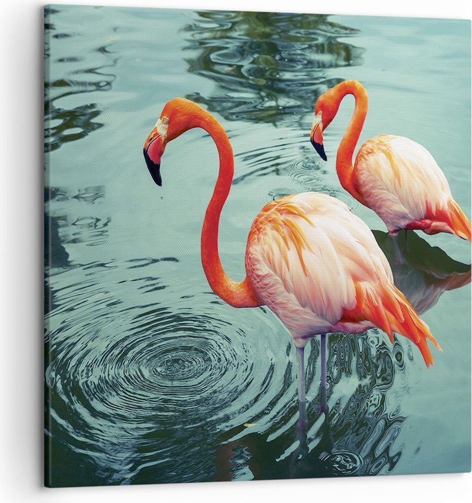 Bild auf Leinwand - Leinwandbild - Einteilig - Rosa Flamingos Wasser - 50x50cm - Wand Bild - Wanddeko - Wandbilder - Leinwanddruck - Bilder - Wandd...