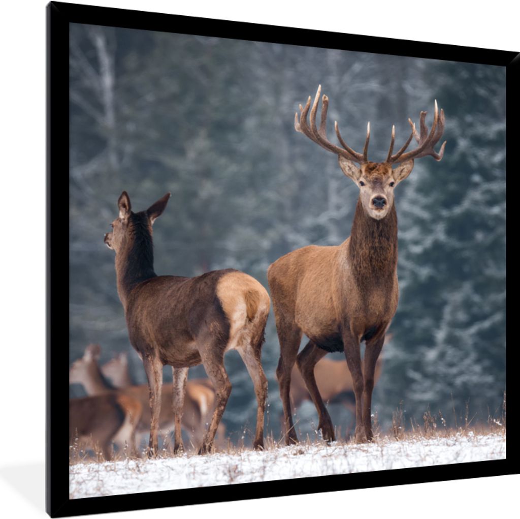 MuchoWow® Gerahmtes Poster Waldtiere - Hirsche - Landschaft Produktbild 