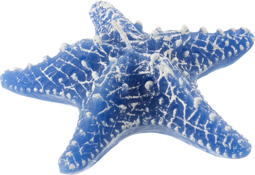 J-Line Kerze Seesternwachs Blau Small-2Stunden