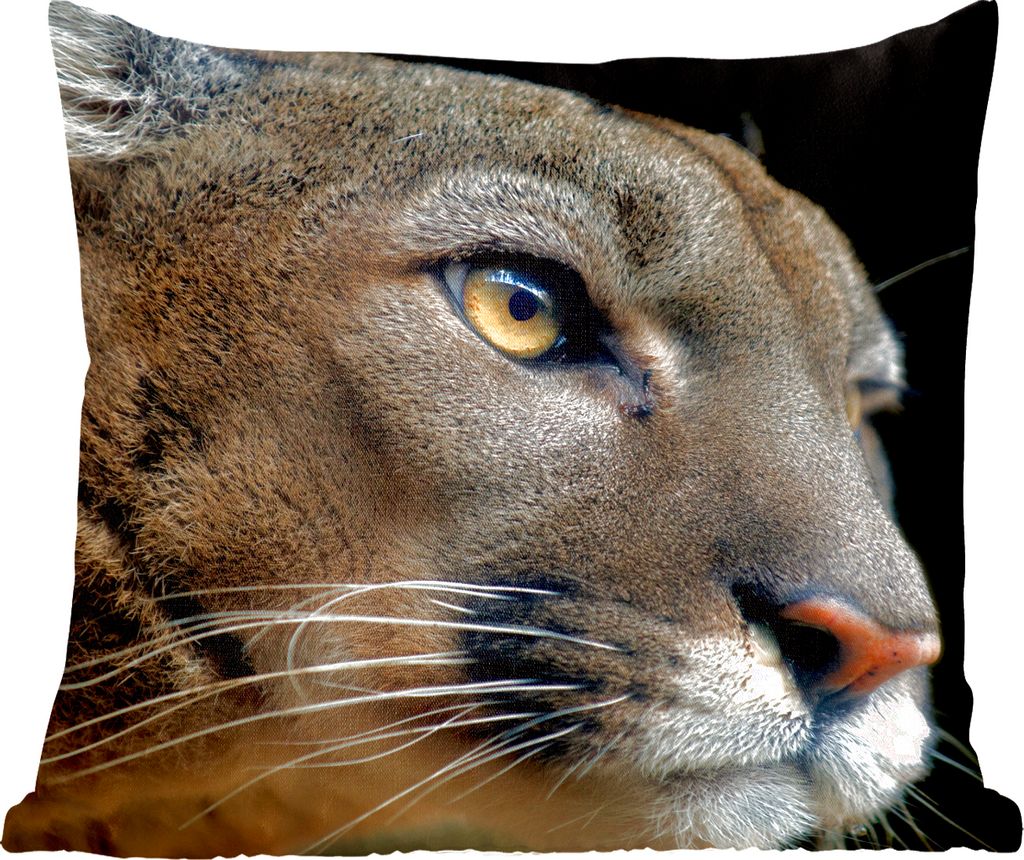 MuchoWow Zierkissen Sofakissen Wohnzimmer Dekokissen 40x40 cm Puma - Wilde Tiere - Porträt - Foto Kissen - Schlafzimmer Dekoration
