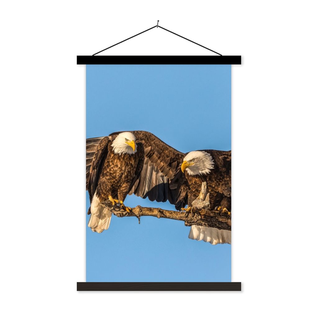 MuchoWow Textilposter Vogel - Äste - Adler - Raubvögel - Luft 40x60 cm mit schwarzem Rahmen - Wanddekorationen