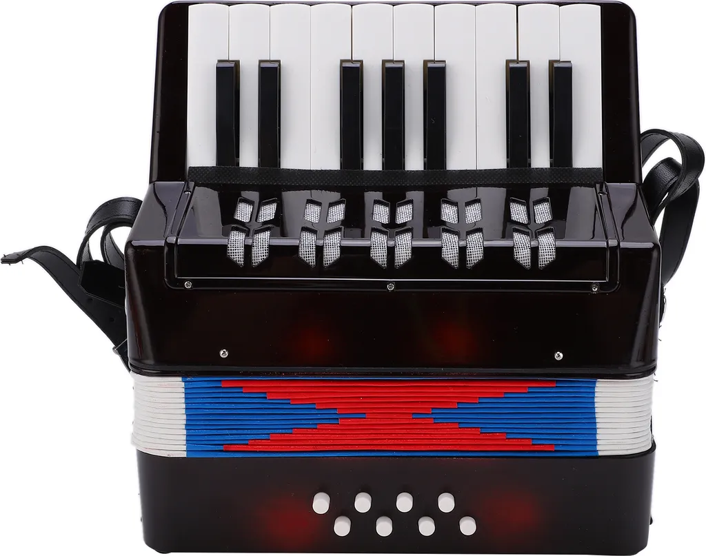 Accordéon à Ressort Noir 17 Touches 8 Basses - Apprentissage du Rythme Enfant
