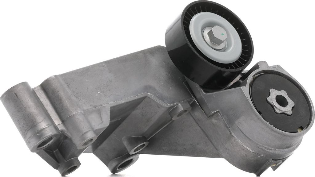 RIDEX 310T0063 Spannrolle Keilrippenriemen für FORD FOCUS (DAW, DBW) FOCUS Kombi (DNW) TRANSIT CONNECT (P65, P70, P80) Tourneo Connect Mk1 für SAAB