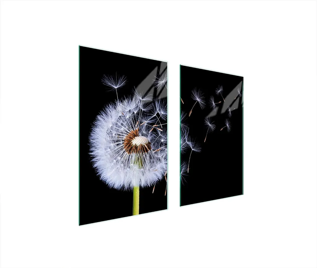 Piastre copri fornelli 2 pezzi 75x52 Copri piano cottura in ceramica tagliere in vetro dente di leone nero