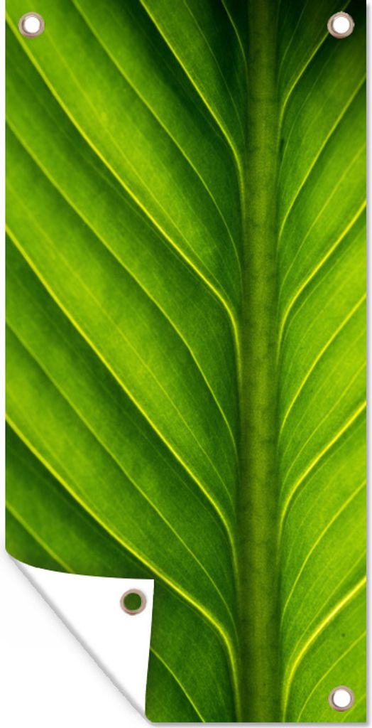 MuchoWow 80x160 cm Outdoor-Poster Gartendeko Sichtschutz Garten Poster für den Garten Foto eines hellgrünen botanischen Blattes