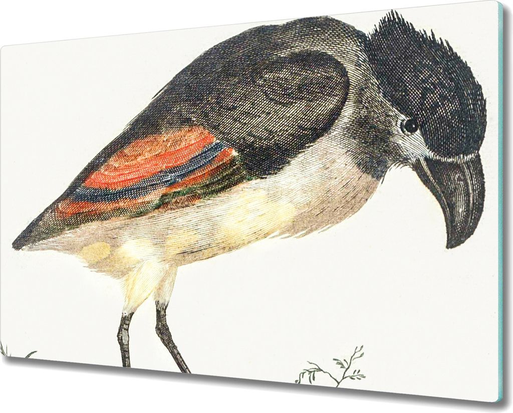 Coloray Herdabdeckplatte 80x52 cm Schneidebrett Kochplattenabdeckung Küchenbrett Hackbrett - Tier Vogel