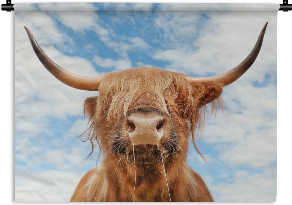 MuchoWow Wandteppich Wandbehang Schottischer Highlander - Wolke - Tiere 60x45 cm Tapisserie Dekoration Wandtuch - Das Schlafzimmer