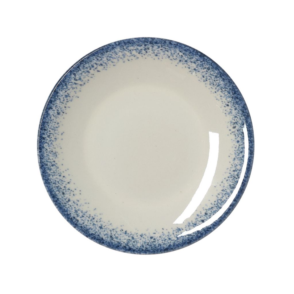 A single flat plate with a speckled blue rim on a white background.