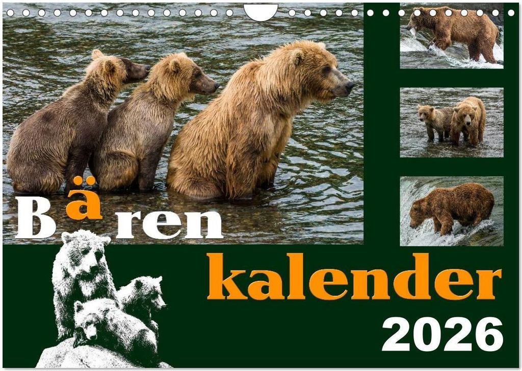 Bärenkalender (Wandkalender 2026 DIN A4 quer), CALVENDO Monatskalender