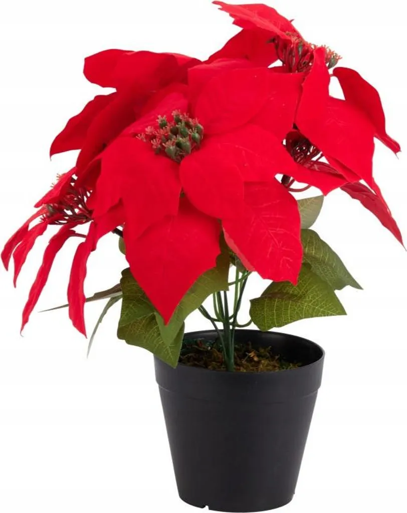 Étoile de Bethléem rouge artificielle 30cm : fleurs sans entretien