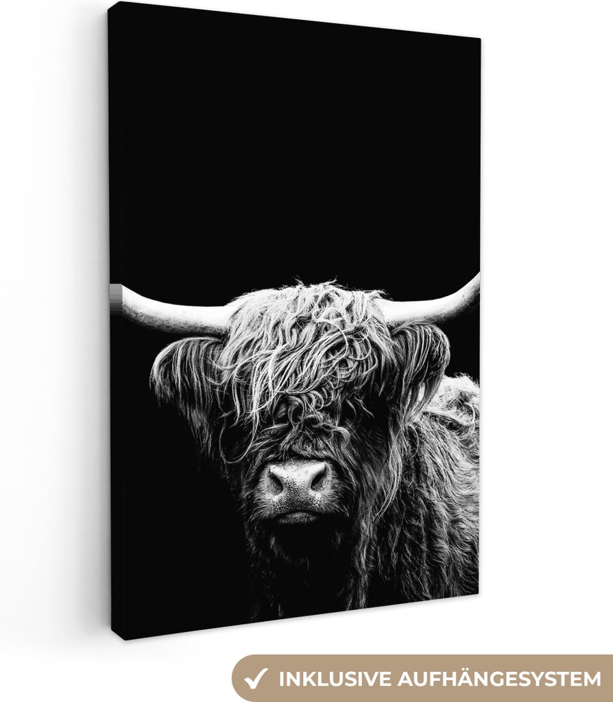 MuchoWow - Leinwandbilder - Schottischer Highlander - Kuh - Schwarz - Weiß - Tiere, Wandbild, Wanddeko Bilder Wohnzimmer, 20x30 cm