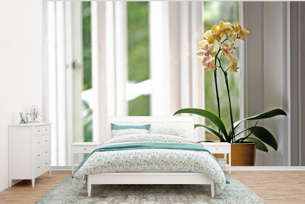 MuchoWow Fototapete für Wohnzimmer oder Schlafzimmer Wandtapete Vinyl Motivtapete Die Orchideen in einem Blumentopf vor dem Fenster - 295x220 cm...