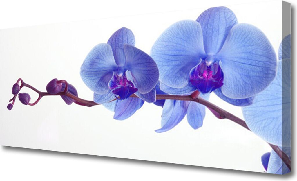 Tulup Leinwand-Bilder 125x50 Wandbild Canvas Kunstdruck Blumen Pflanzen