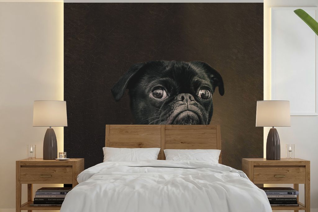 MuchoWow Fototapete für Wohnzimmer oder Schlafzimmer Wandtapete Vinyl Motivtapete Mops - Mittelalter - Kleidung - 350x350 cm - Schlafzimmertapete