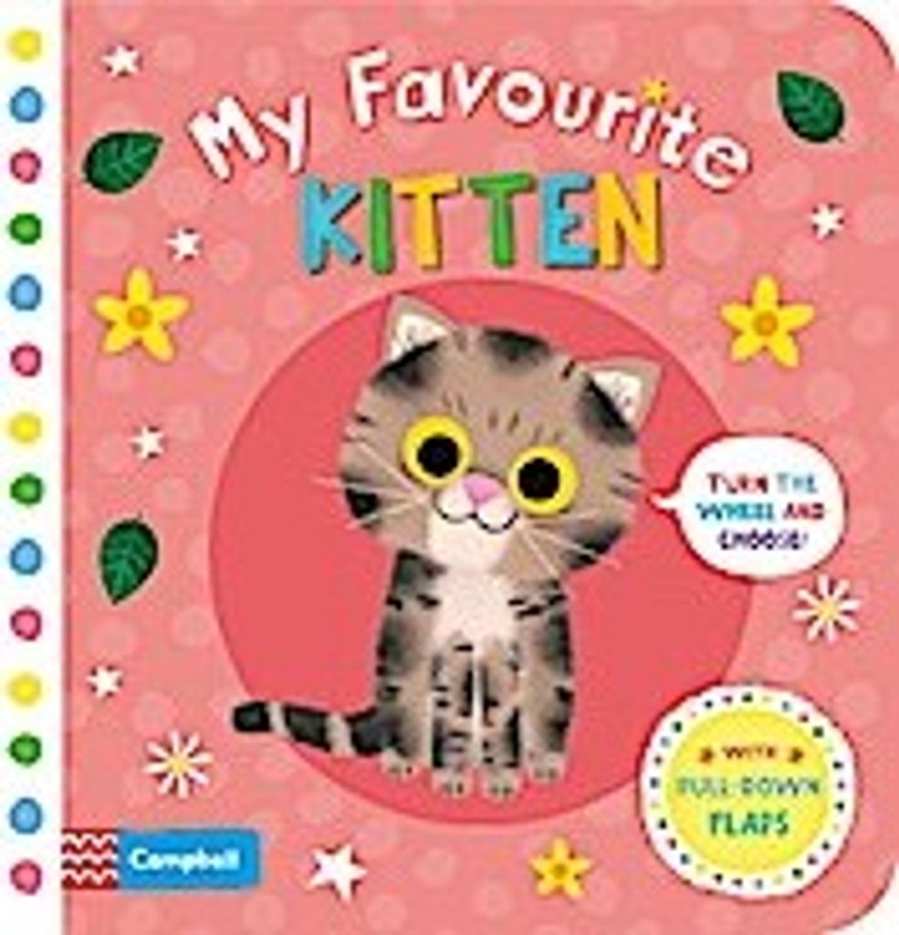 My Favourite Kitten