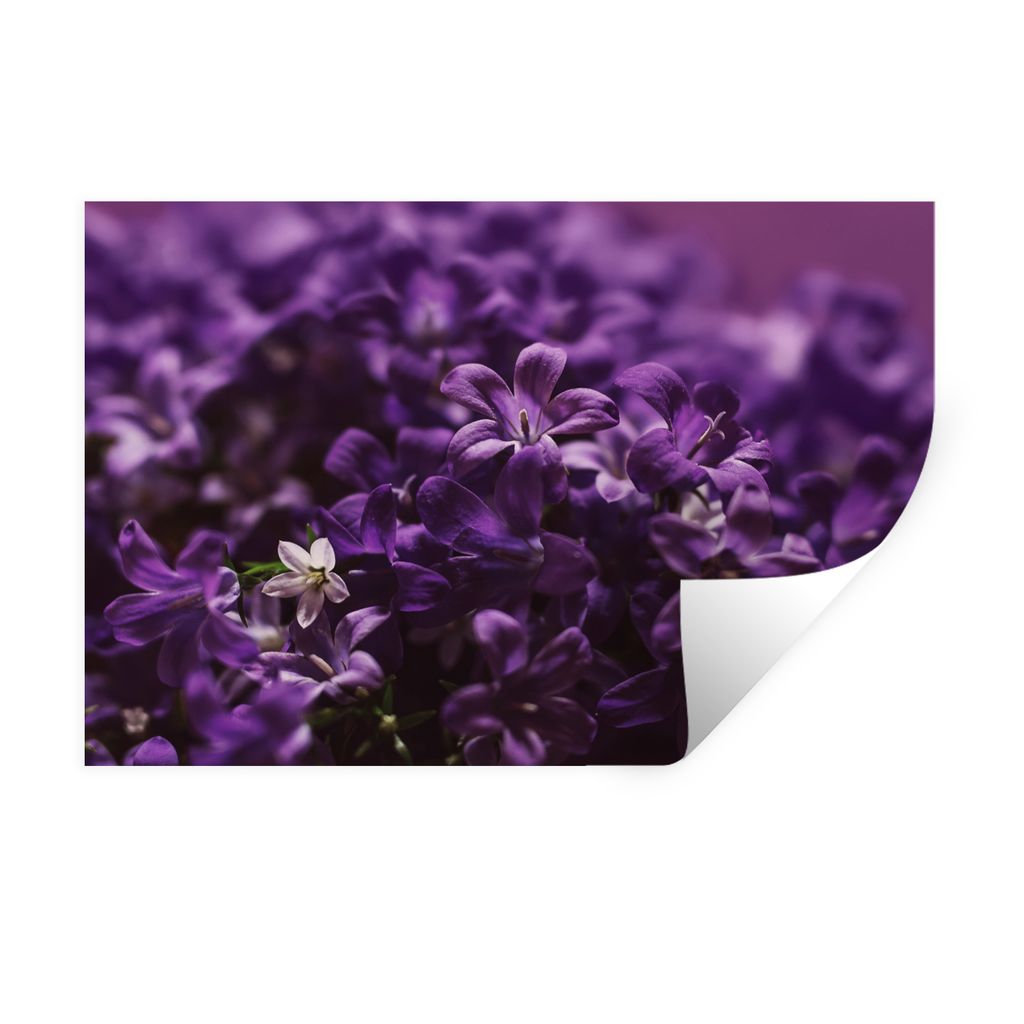 MuchoWow Wandtattoo Wandsticker Wandaufkleber Kleine lila Blume 30x20 cm Selbstklebend und Repositionierbar - Wierderverwendbar - Selbstklebend