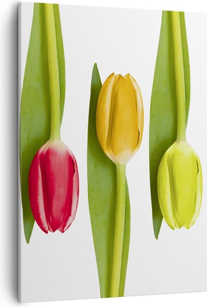 Bild auf Leinwand - Leinwandbild - Einteilig - Tulpe Blume Garten Komposition - 50x70cm - Wand Bild - Wanddeko - Wandbilder - Leinwanddruck - Wandd...
