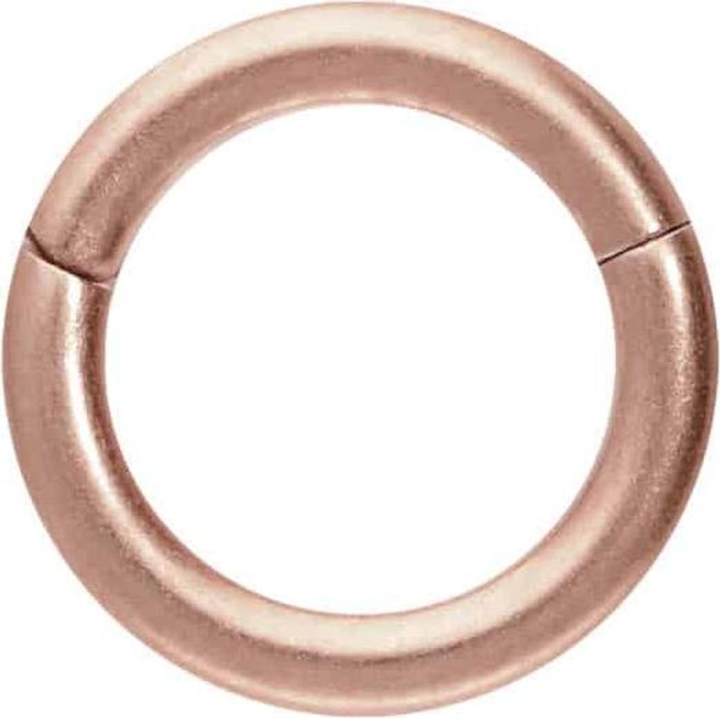 Ohrpiercing, Nasenpiercing, Septum Piercing Titan Segmentring Clicker MATT RoséGold Innendurchmesser: 5mm + Stabstärke: 1mm
