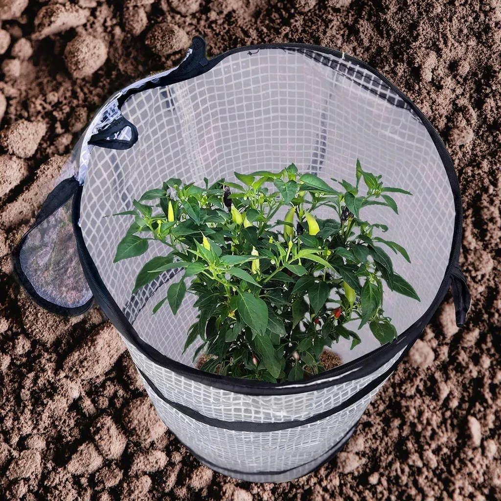 Mini-serre Pop-up de Protection Plantes - 1 Pièce - 60 x 30 cm Transparente