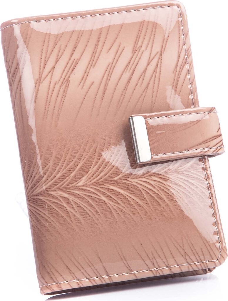 Jennifer Jones Damen-Kartenetui, Dokumentenetui Echtleder, 18 Kartenfächer, sicherer Metallverschluss Beige