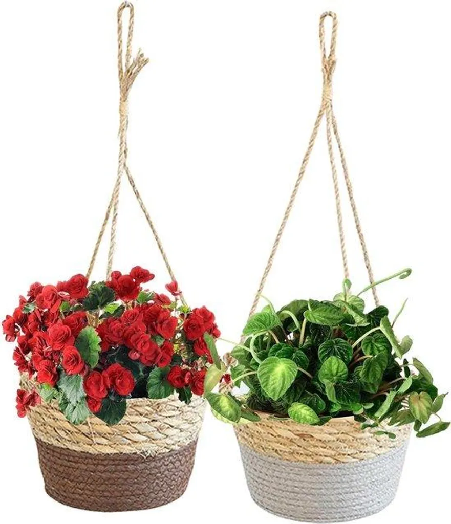 Lot de 2 suspensions pour fleurs 20 cm robustes pour intérieur et extérieur