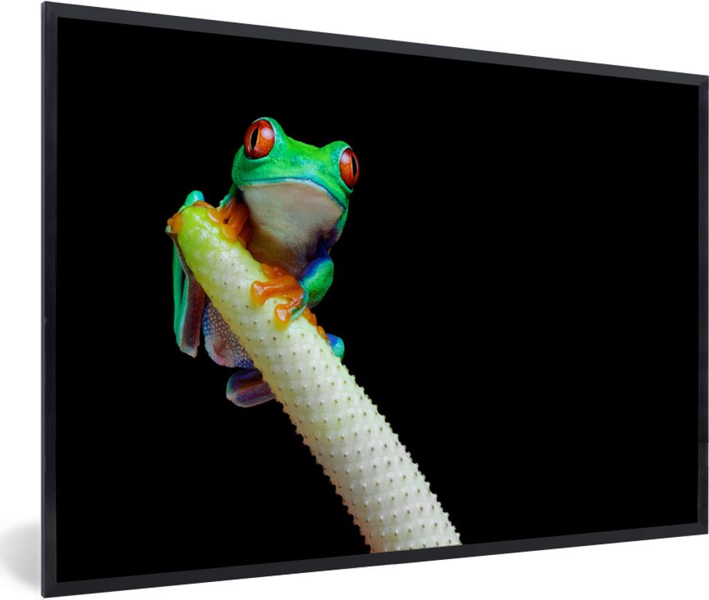 MuchoWow Gerahmtes Poster Frosch - Tier - Pflanze 90x60 cm - Poster mit Schwarzem Bilderrahmen Wandposter Rahmen Foto Bilder - Fotorahmen - Foto-...