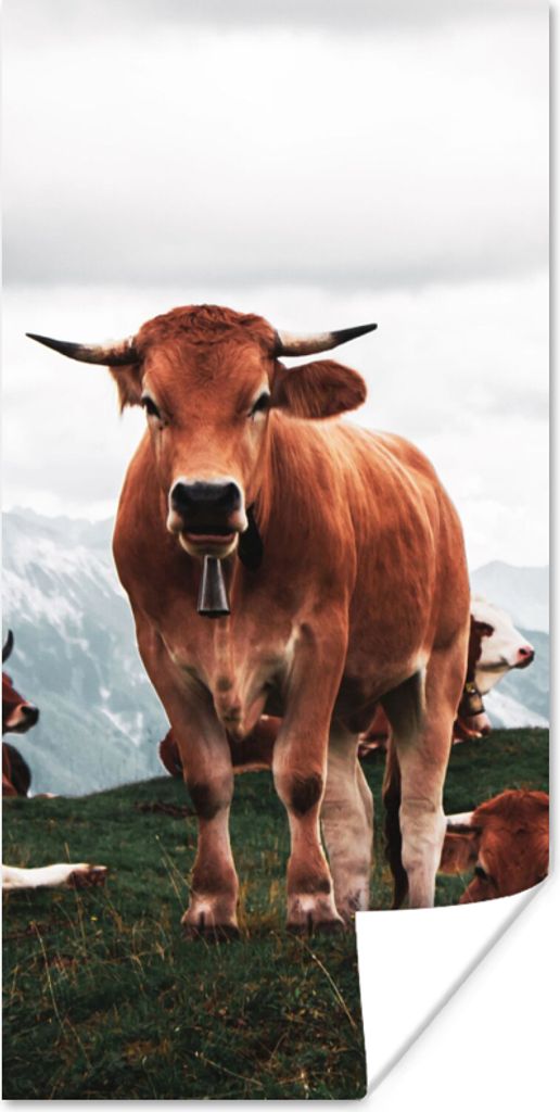 MuchoWow Poster Tiere - Kuh - Berg 75x150 cm - Dekoration für die Wände