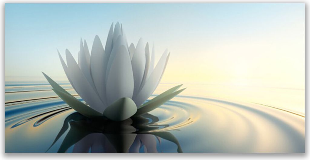 Glasbilder 140x70 Wandbild Druck auf Glas Blume Wasser Kunst