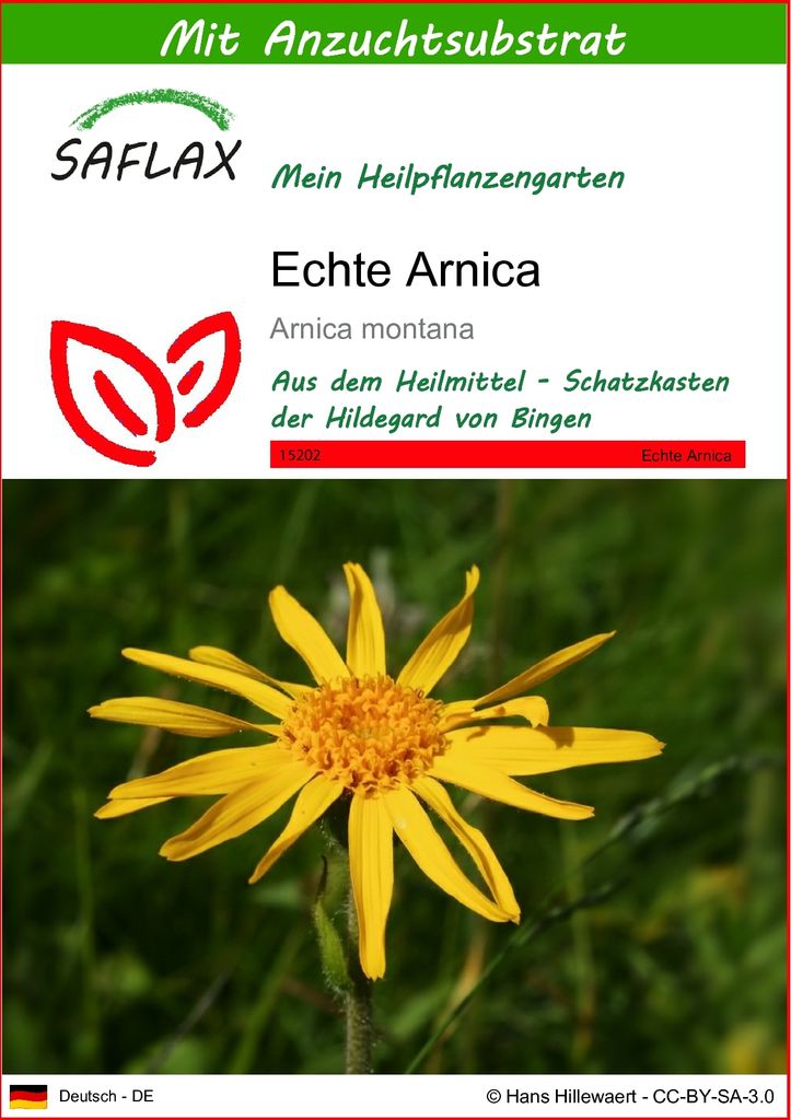 SAFLAX - Heilpflanzen - Echte Arnica - 40 Samen - Mit Produktbild 