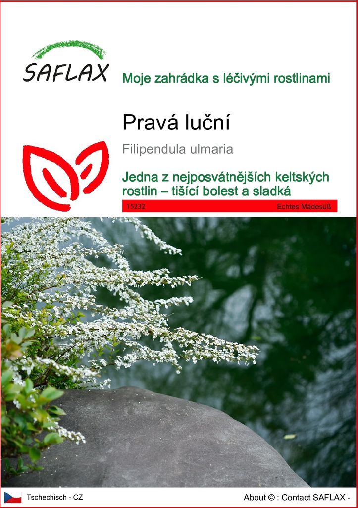 SAFLAX - Pravá luční - Filipendula ulmaria - 500 Semena Obrázek produktu 