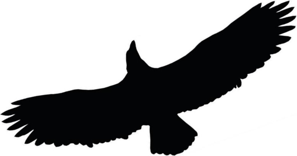 Vogelabwehr - Aufkleber L40 - Mxl Ab L40