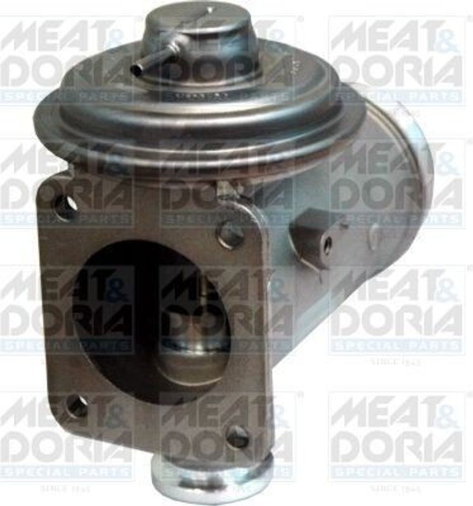 MEAT & DORIA 88192 AGR-Ventil für BMW 3 Touring (E91) 3 Limousine (E90) 5 Limousine (E60) 1 Schrägheck (E87) 5 Touring (E61) X3 (E83)