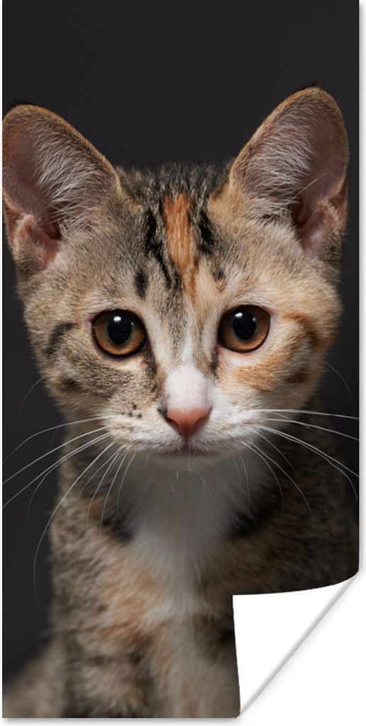 MuchoWow Poster Katze - Schwarz - Porträt 80x160 cm - Kinderzimmer