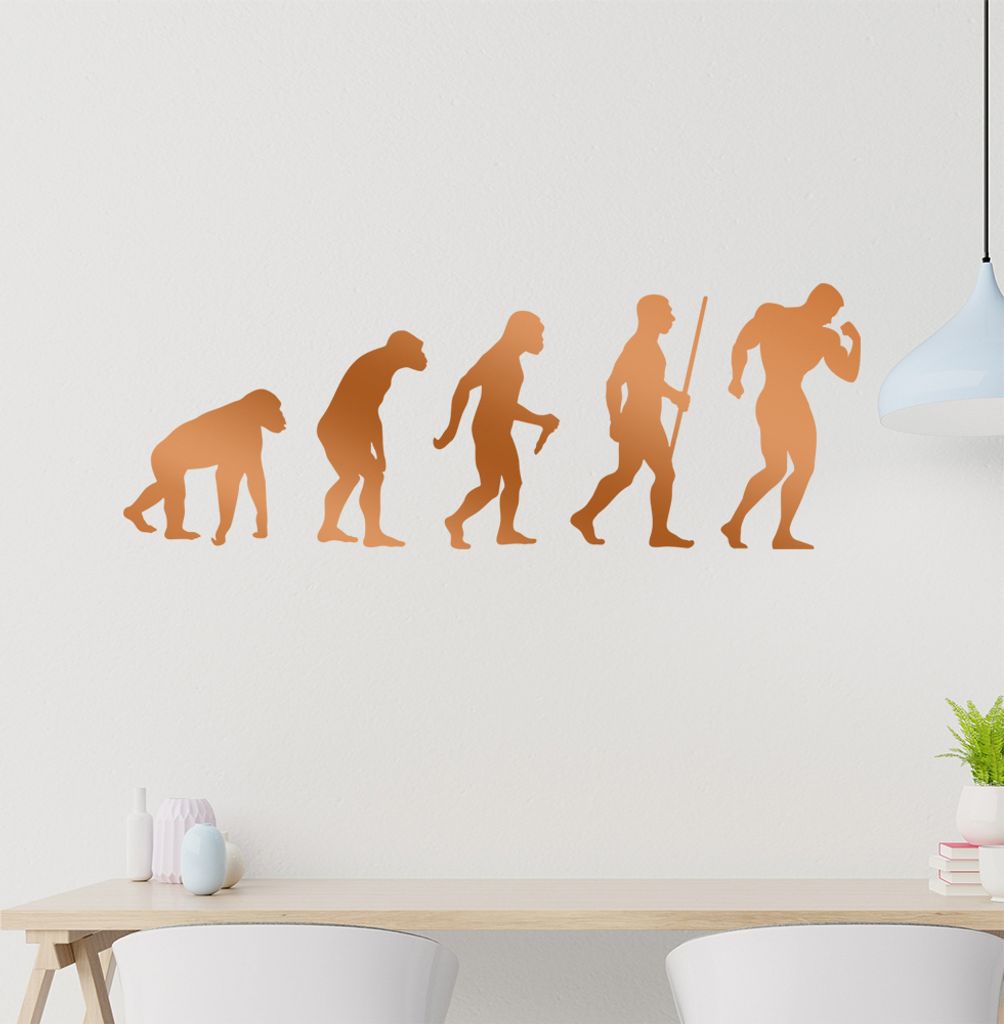 Bodybuilding Evolution Wandtattoo Wandaufkleber Wall Sticker - Dekoration, Küche, Wohnzimmer, Schlafzimmer, Badezimmer