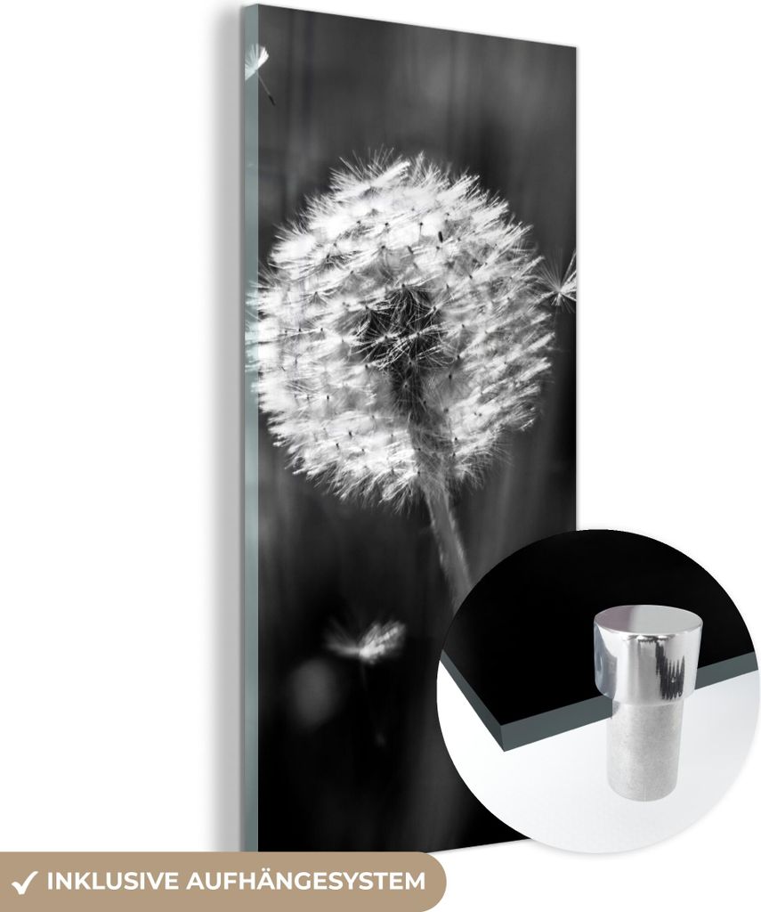 MuchoWow Glasbilder - Bilder auf Wandbild - Foto auf Glas Löwenzahn - Schwarz - Weiß - Pflanze 40x80 cm Wanddekoration aus Glas - Acrylglasbild -...