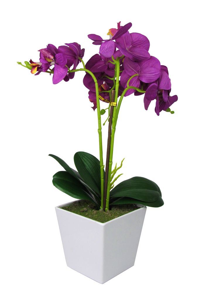 Kunst Orchidee im rechteckigen Topf –