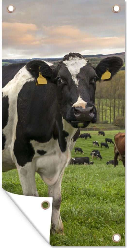 MuchoWow 30x60 cm Outdoor-Poster Gartendeko Sichtschutz Garten Poster für den Garten Kuh - Berg - Gras - Tiere